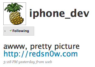 Twitter do Dev Team