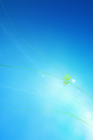 winPhone 7
