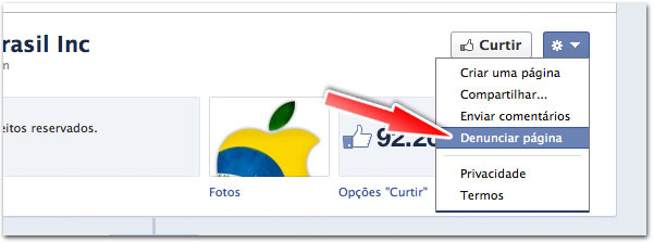 Denunciar página