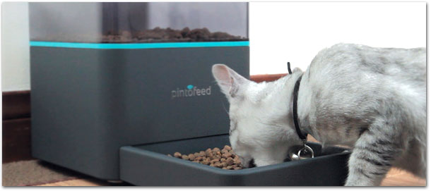 Pintofeed