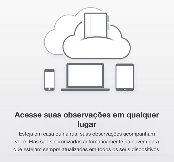 OneNote