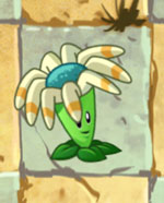 Flormerangue