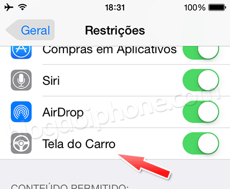 Tela do Carro
