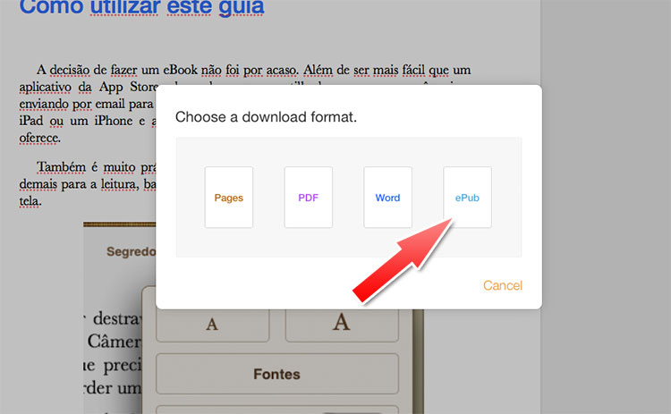 Exportar para ePub