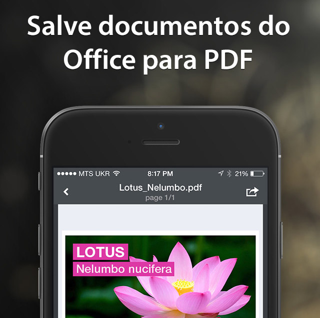 PDF converter