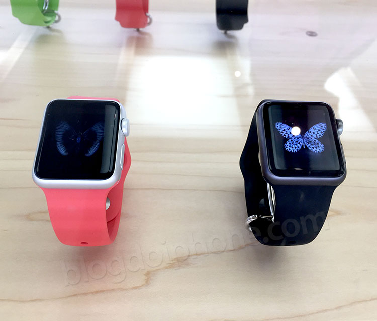Watch Sport