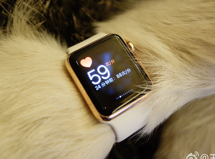 Auau Watch