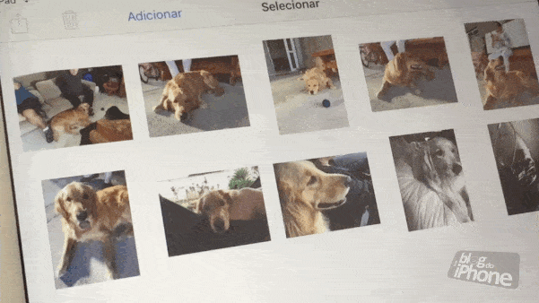 iOS 9 Seleção de fotos