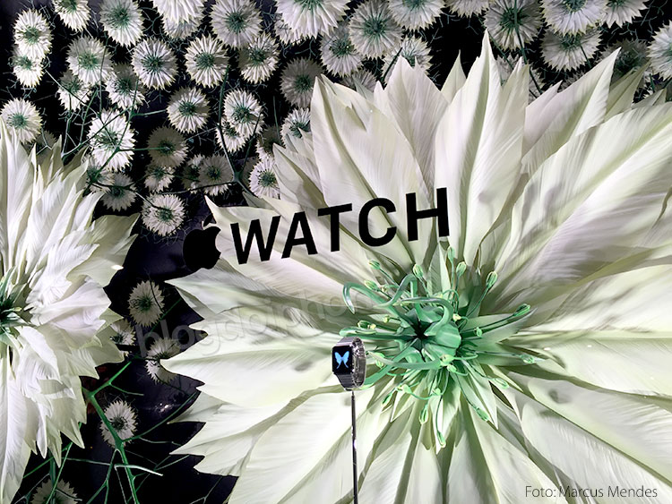 watchstore 5