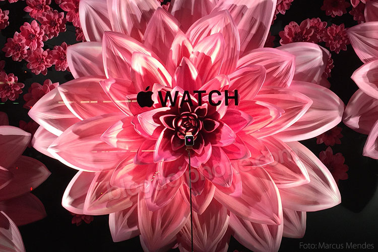 watchstore 6