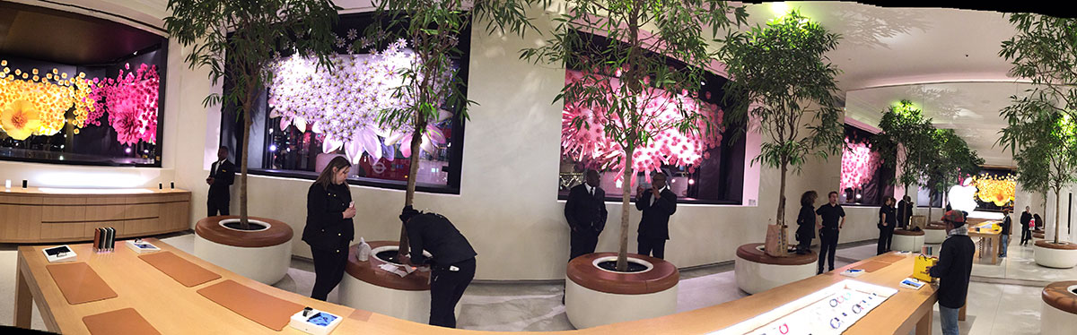 watchstore 7