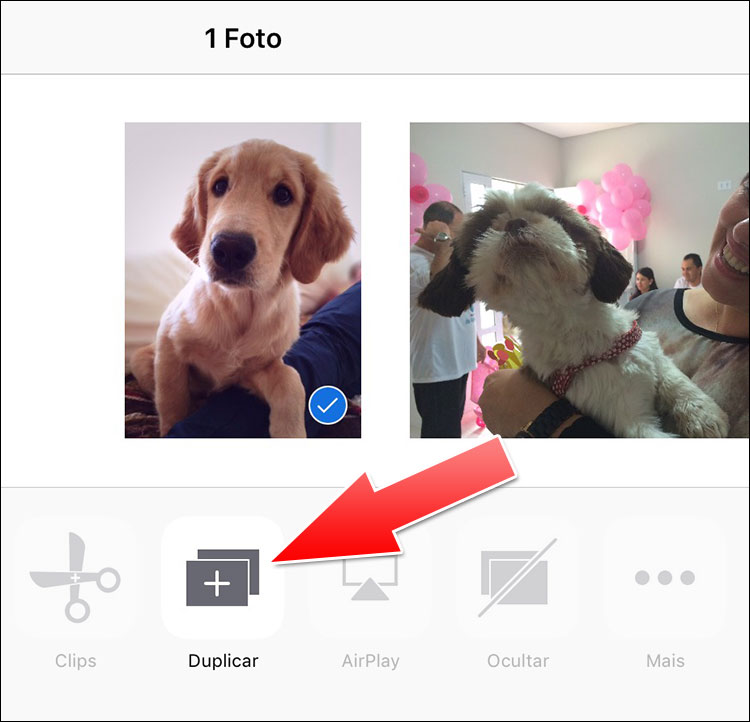 Duplicar Foto