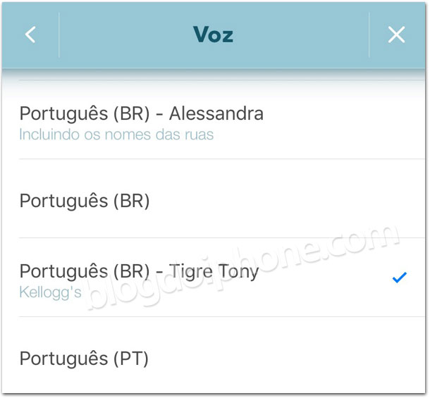 Desperte o Tigre em você