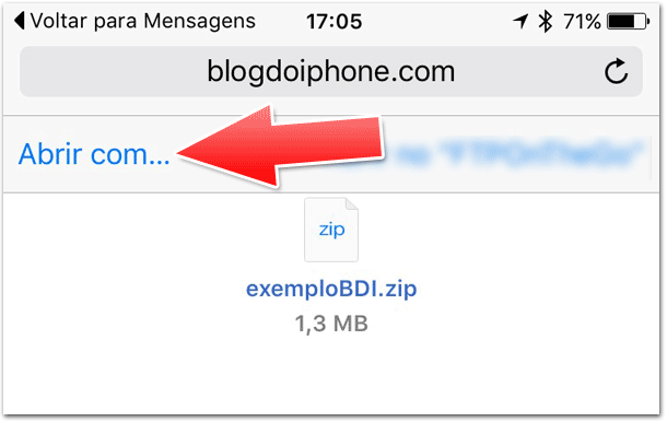 zip1