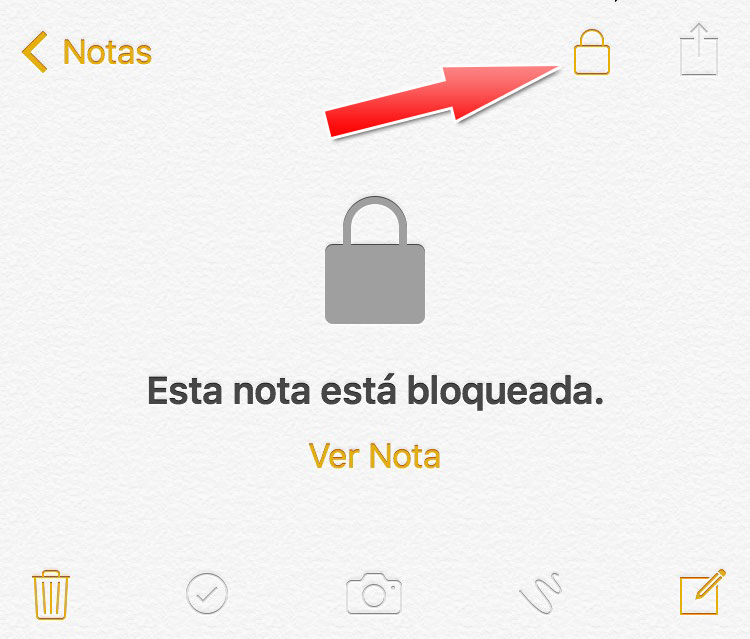 notas5