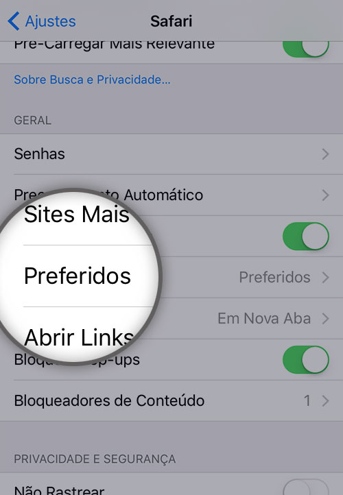 Preferidos do Safari