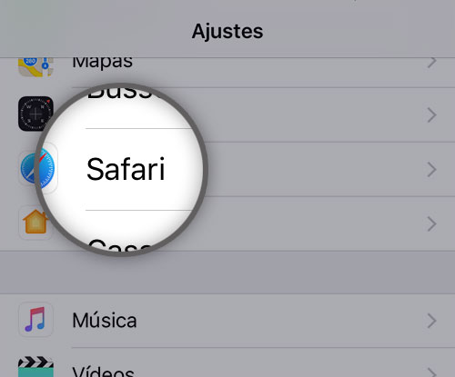 Safari