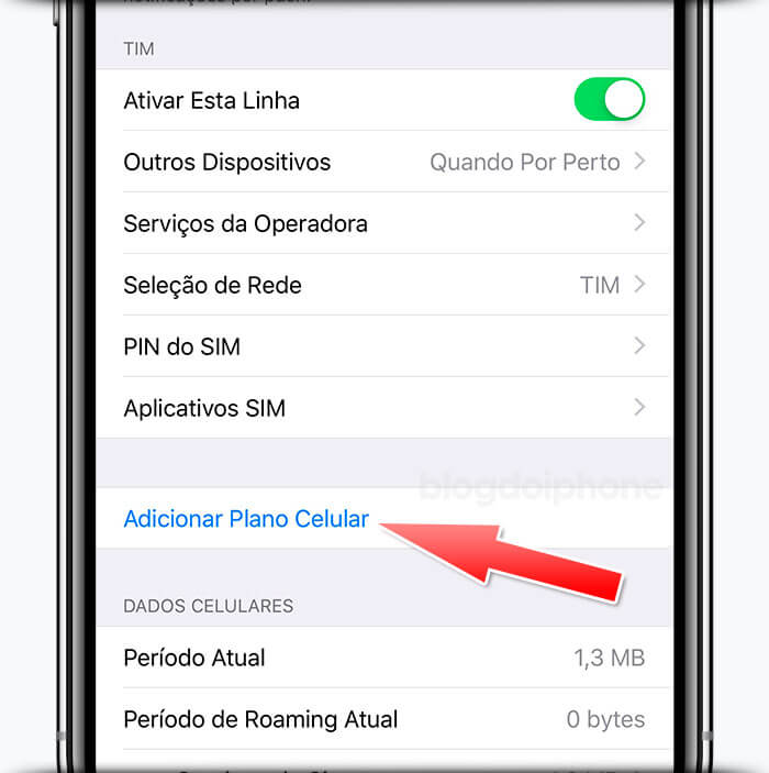 Dual SIM iPhone