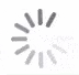 Loading iOS 13