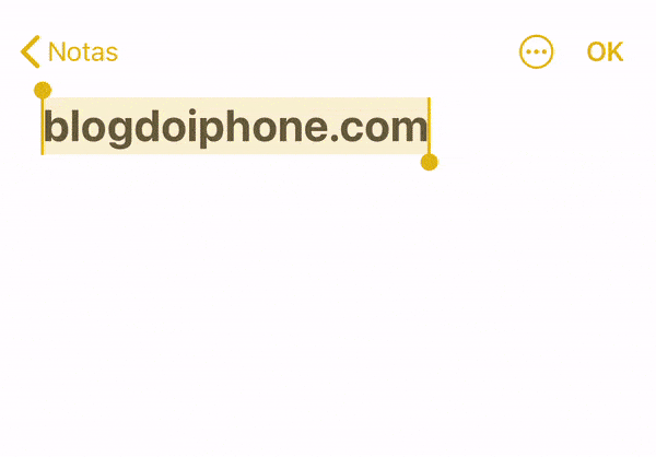 Clipboard iOS 14