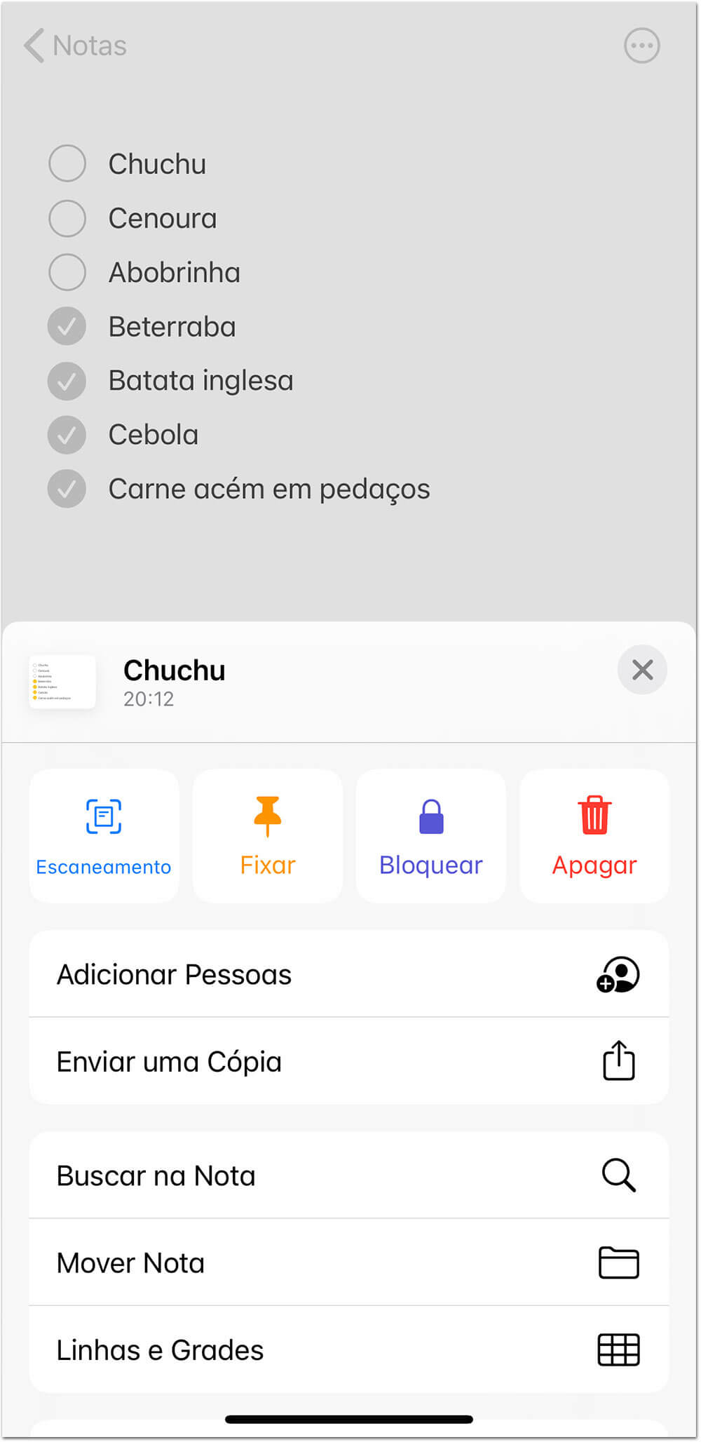 iOS 14 Menu Notas