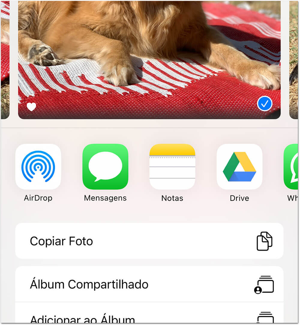 desligar sugestões de contatos iOS