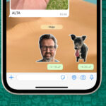 criar figurinhas no WhatsApp