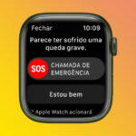 Apple Watch Queda
