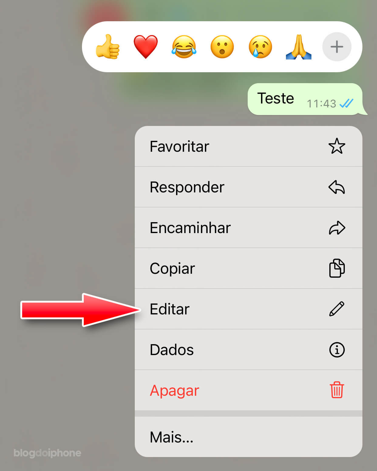 Editar mensagens no WhatsApp