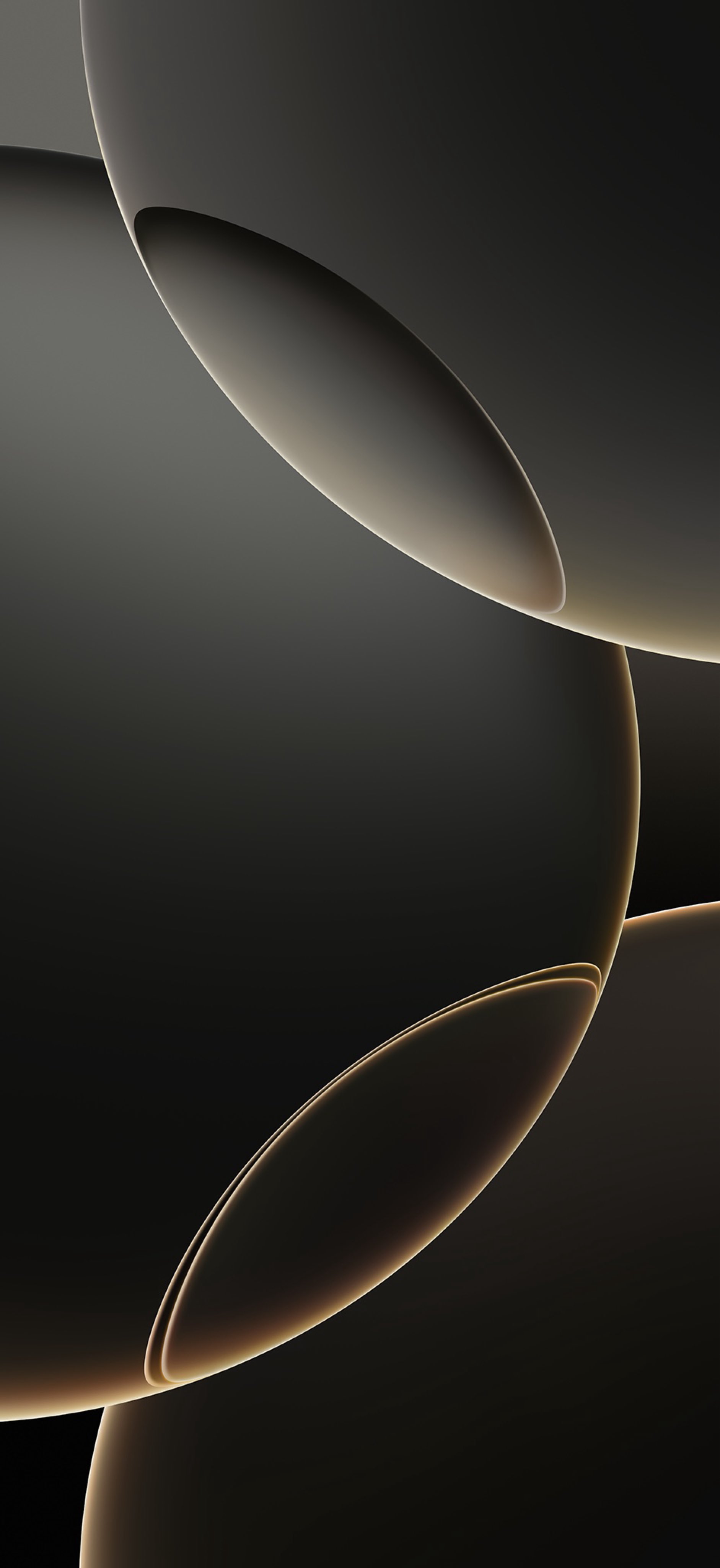 iPhone 16 Pro Natural Titanium wallpaper
